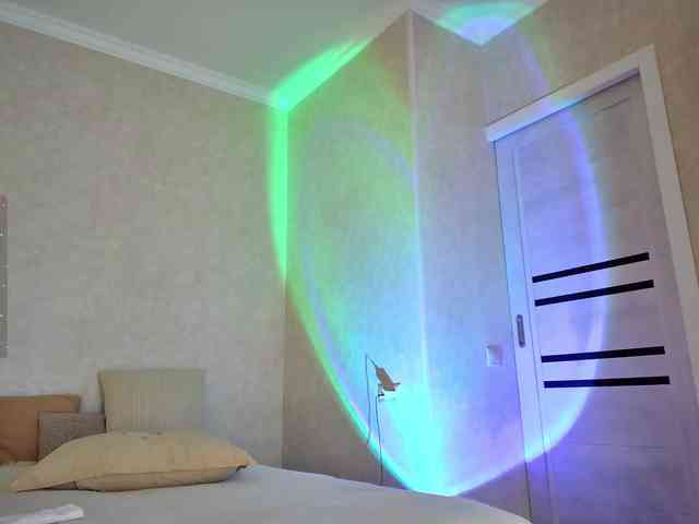 Rosea webcam