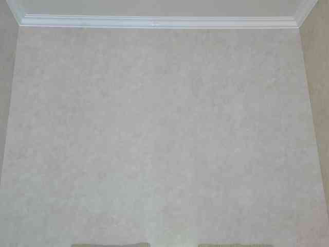 Rosea webcam