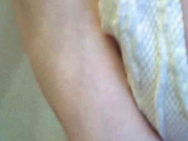 Rosea webcam