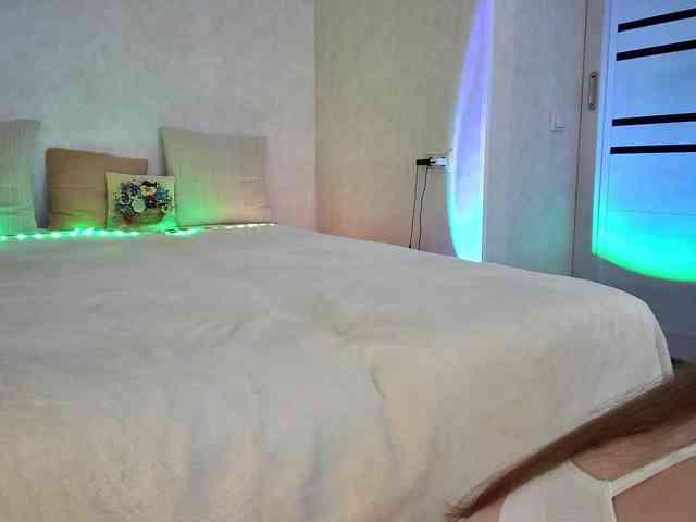 Rosea webcam