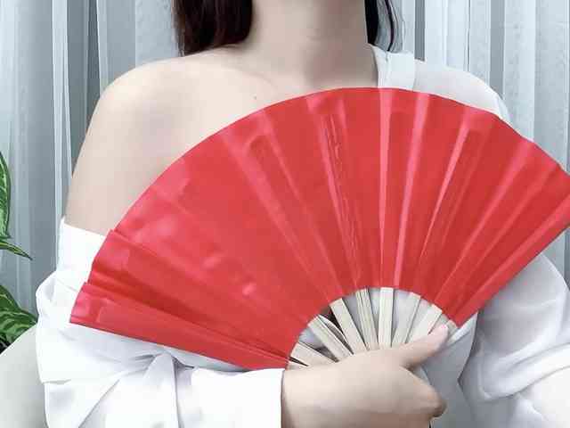 MieChan webcam