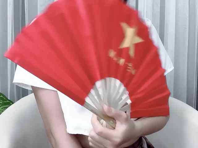 MieChan webcam