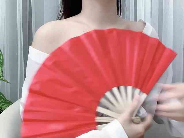 MieChan webcam