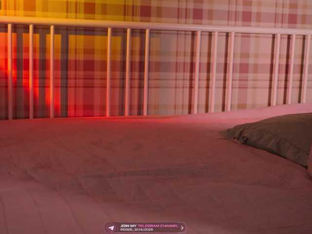 roddeschlocer live cam on BongaCams