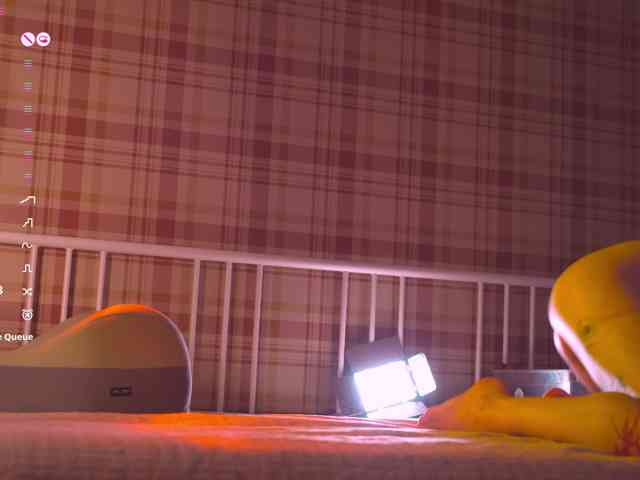 rodde_schlocer webcam