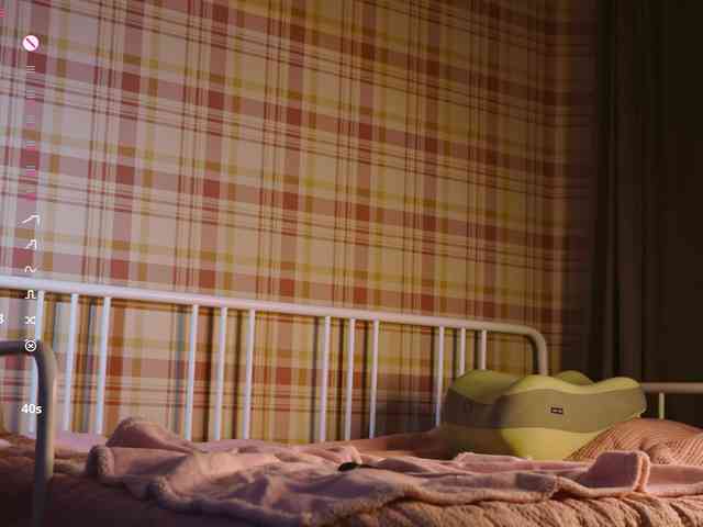 rodde_schlocer webcam