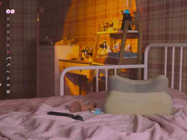 rodde_schlocer webcam