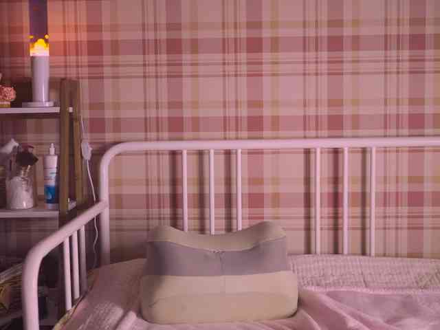rodde_schlocer webcam