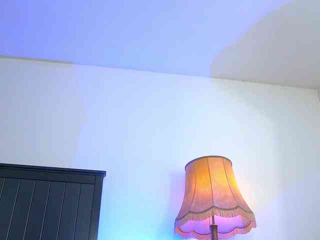 Yanira-Muslim webcam