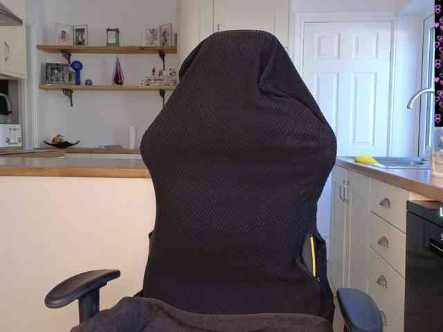 stripmequick webcam