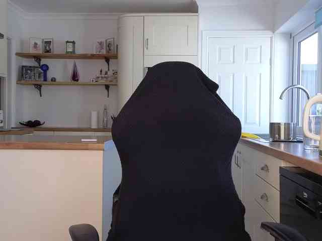 stripmequick webcam