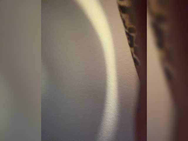 Nofacenocasea