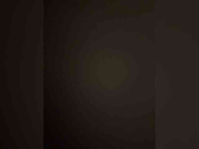 Nofacenocasea webcam