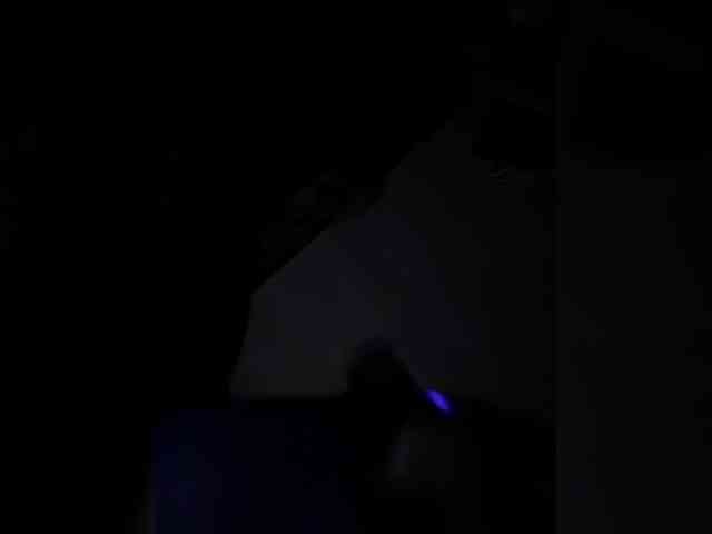 Nofacenocasea webcam