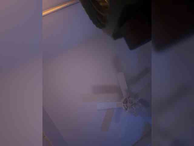 Nofacenocasea webcam