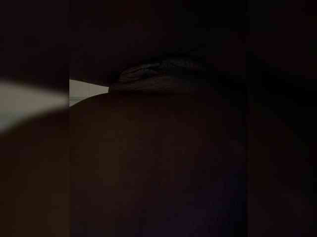Nofacenocasea webcam
