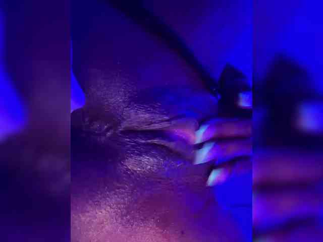 Nofacenocasea webcam