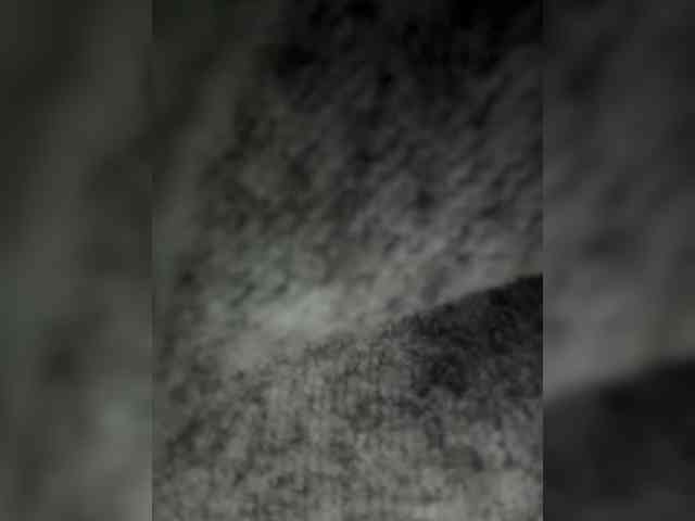 Nofacenocasea webcam