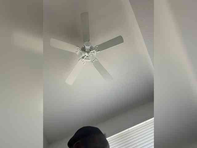Nofacenocasea webcam