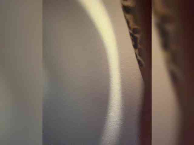 Nofacenocasea webcam