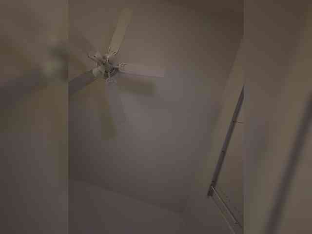 Nofacenocasea webcam