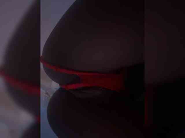 Nofacenocasea webcam