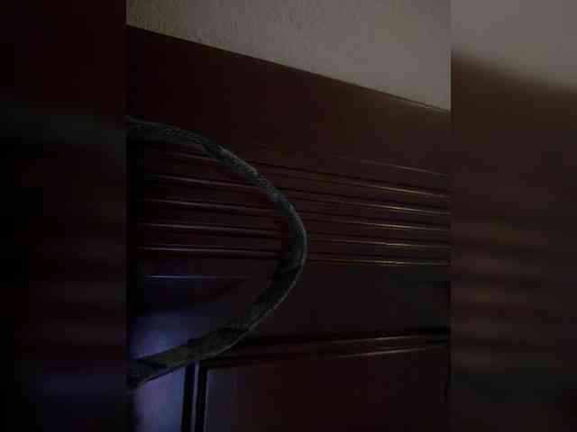 Nofacenocasea webcam