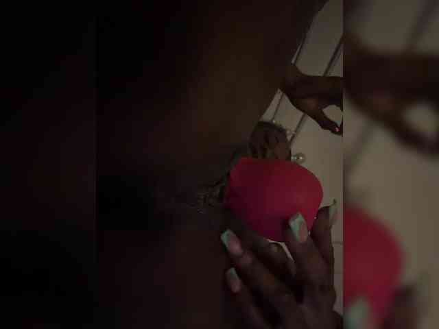 Nofacenocasea webcam