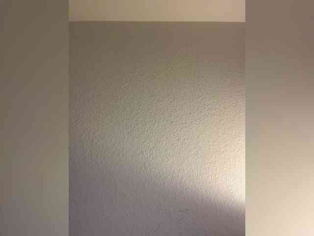 Nofacenocasea webcam