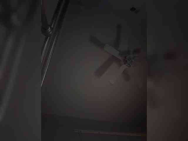 Nofacenocasea webcam