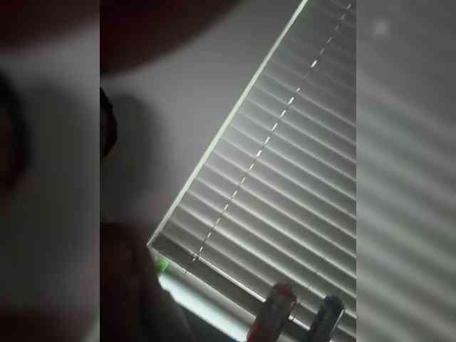 Nofacenocasea webcam