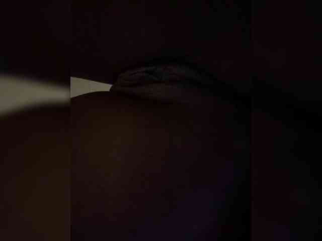 Nofacenocasea webcam