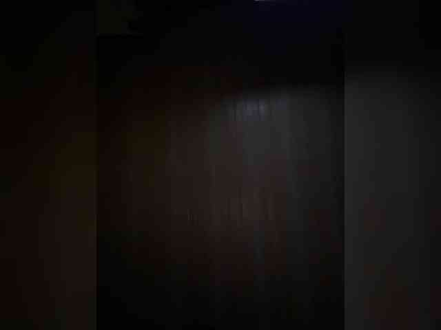 Nofacenocasea webcam