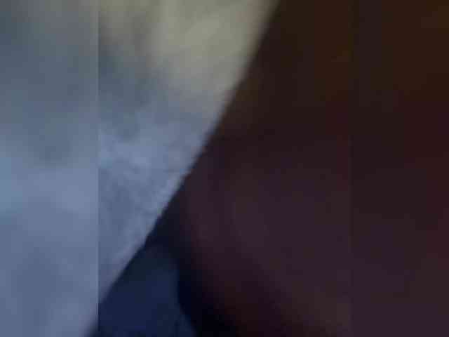 Nofacenocasea webcam
