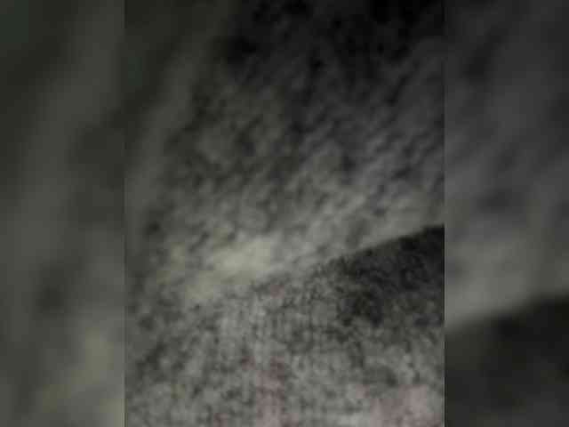 Nofacenocasea webcam