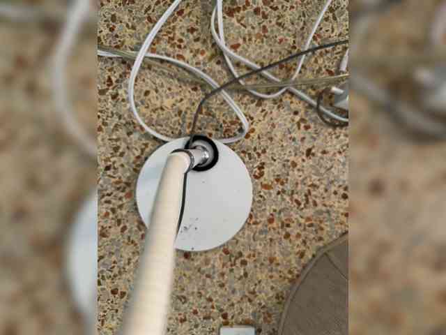 Nofacenocasea webcam
