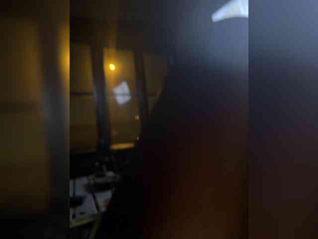 Nofacenocasea webcam