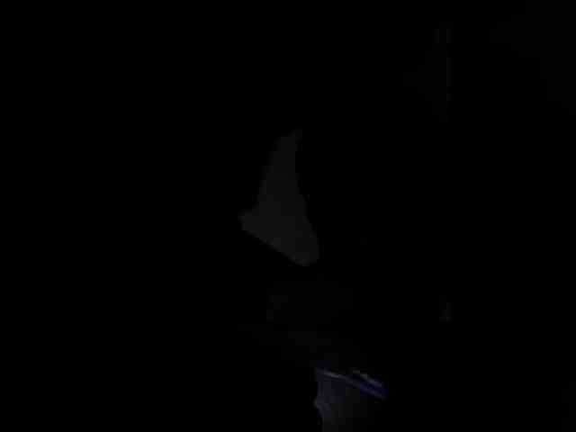 Nofacenocasea webcam