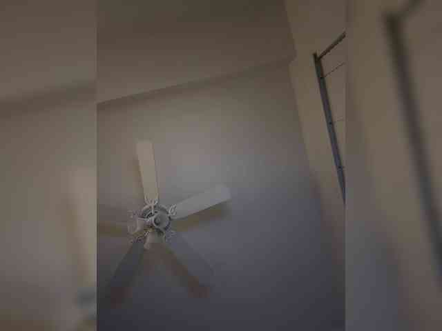 Nofacenocasea webcam