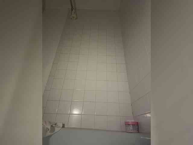 Nofacenocasea webcam