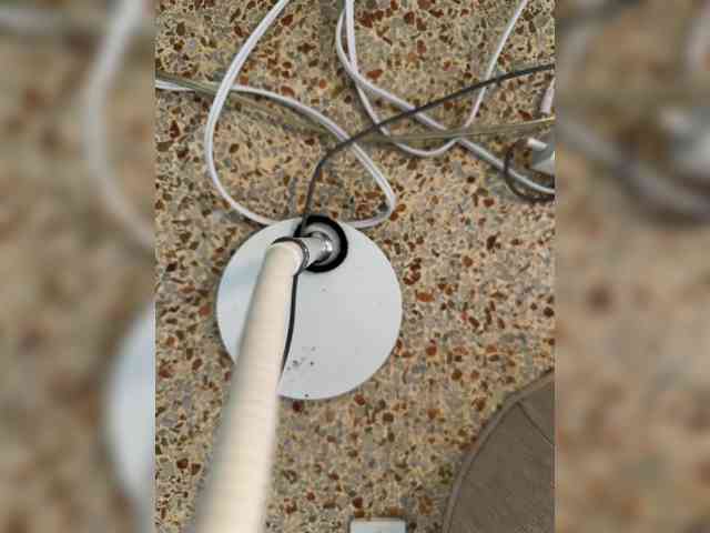 Nofacenocasea webcam