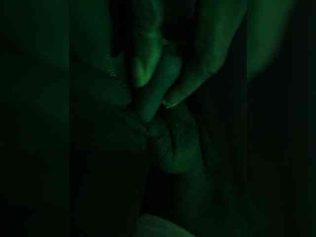 Nofacenocasea webcam
