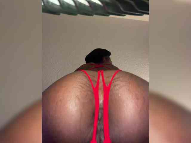 Nofacenocasea webcam