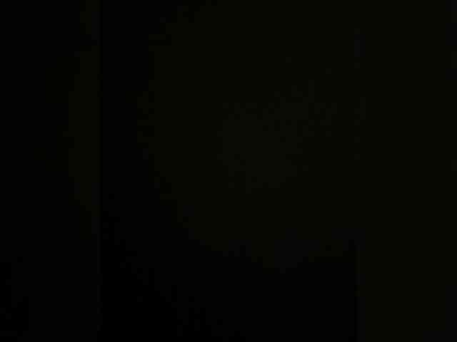 Nofacenocasea webcam