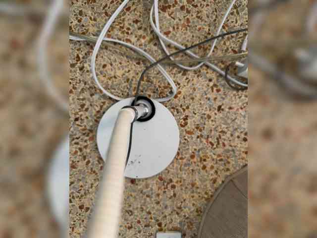 Nofacenocasea webcam