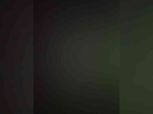 Nofacenocasea webcam