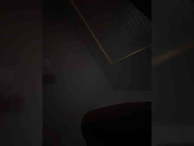 Nofacenocasea webcam
