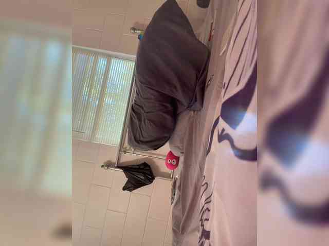 Nofacenocasea webcam