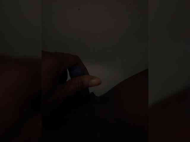 Nofacenocasea webcam