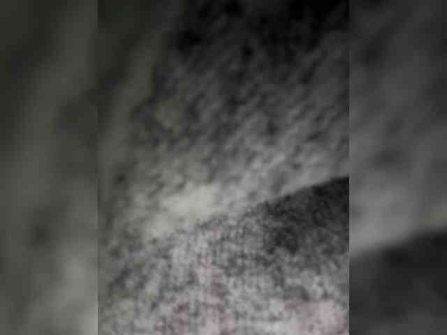 Nofacenocasea webcam